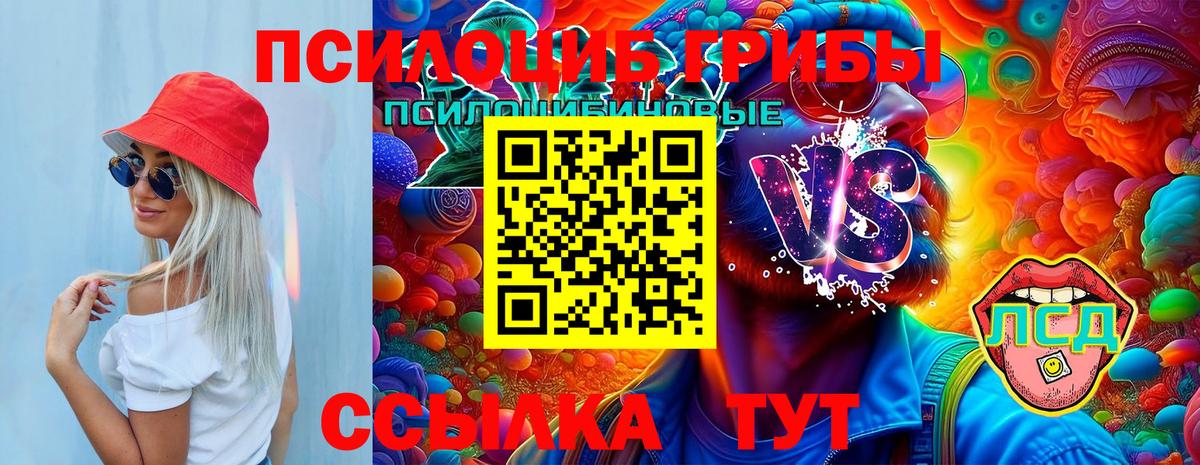 Псилоцибиновые грибы Cubensis  Вход с VPN  Медногорск 